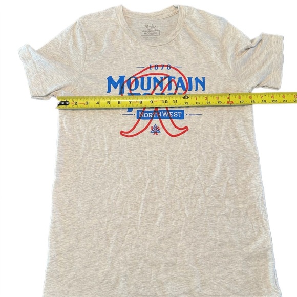 Rainier Beer x The Great PNW Mountain Fresh Graphic Tee - Heather Grey - M - Picture 2 of 6